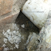 Gallery Image Number 8