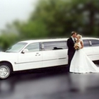 A Showtime Limousine Service Inc