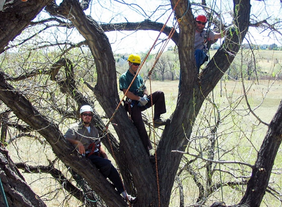 Berkelhammer Tree Experts, Inc. - Louisville, CO