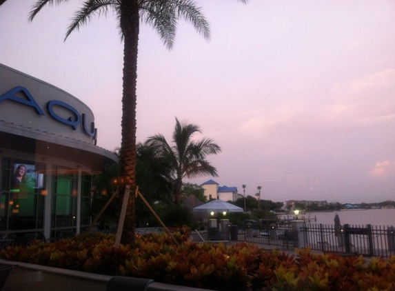 Aqua Bar & Grille - Tampa, FL