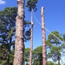 Arbor Outlawz Tree Removal - Lawn Maintenance