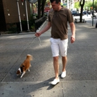 NYC Pet Nannies