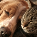 C'Lassie Cuts Mobile Pet Spa - Pet Services