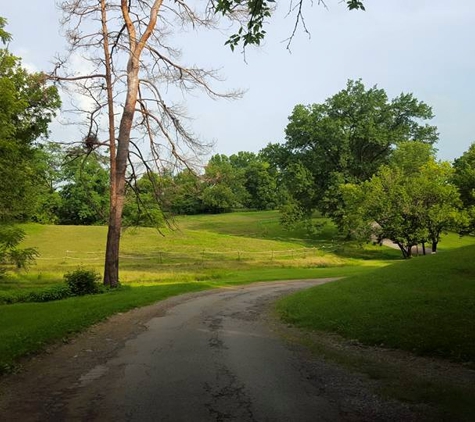 Tyddyn Du Farm - Cincinnati, OH