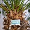 Durham's Tree Service gallery