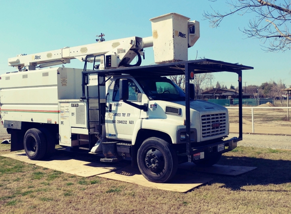 Cervantes Tree Services - Bakersfield, CA