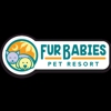 Fur Babies Pet Resort gallery