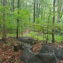 Alapocas Run State Park - Parks