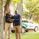 Hartney Greymont - Arborists