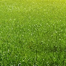 Custom Sprinkler & Landscaping - Sprinklers-Garden & Lawn