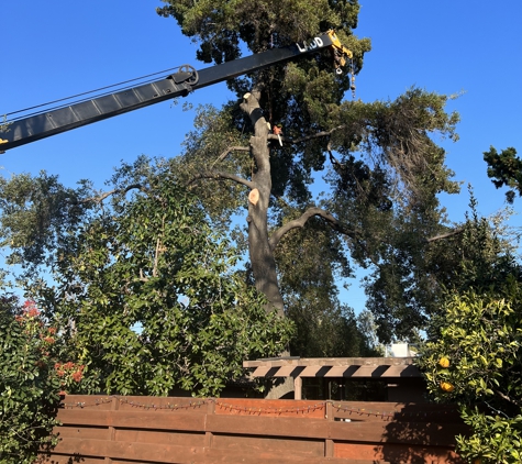 Green Valley Tree Service