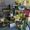 Nested Owl Gifts-Collectibles gallery