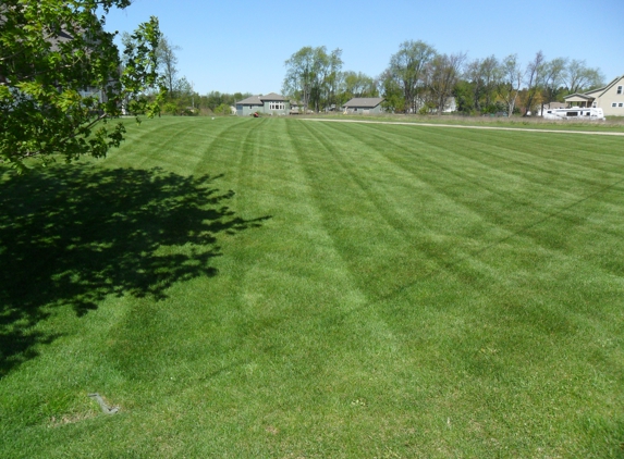 Thomas Lawn Care - Ionia, MI