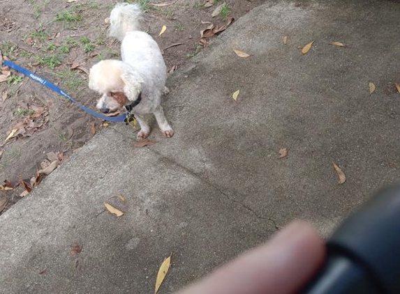 Tully Pro Pet Salon - Tully, QLD. I feel so gooooooood!!!!