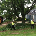 South Jersey Tree Service