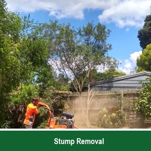 Action Tree Specialists - Kingsbury, VIC. Stump Removal