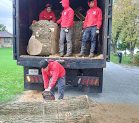 Anytown Tree Service Inc - Indianapolis, IN