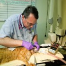 University Animal Hospital - Veterinary Clinics & Hospitals