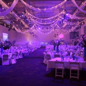 Gallery Image Number 2