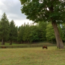 Bauernhof Equestrian Center LLC - Horse Boarding