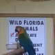 Wild Florida Adventure Park