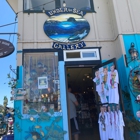 Under the Sea Gallery