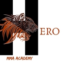 Hero MMA Academy - Martial Arts Instruction