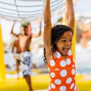 Disney's Blizzard Beach Water Park - Resorts