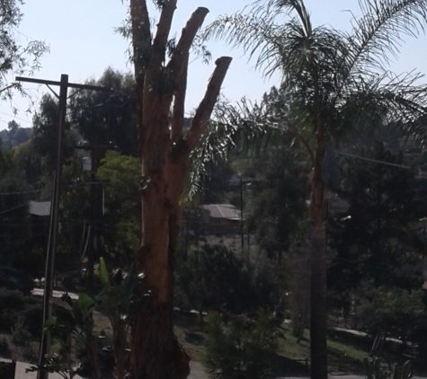 Carrillo's tree services - Chula Vista, CA. all three cut