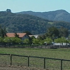 Equine Center