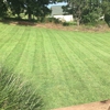 Clean Cut Lawn Care gallery