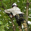 Arbor Max Tree Service - Tree Service