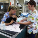 Oakland Veterinary Referral Services - Veterinarians
