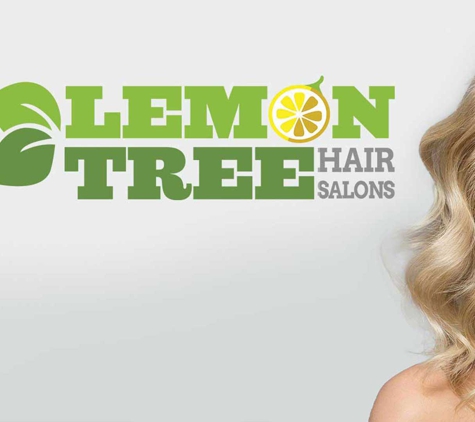 Lemon Tree Hair Salon Patchogue - East Patchogue, NY