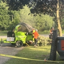 Holland Tree Services - Arborists