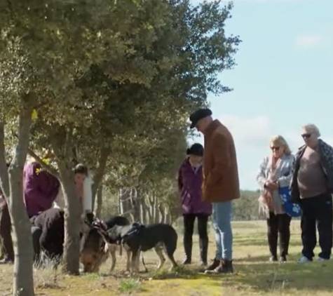 Truffle Hunting at L'air du Wombat - Oallen, NSW