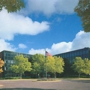 National American University Minnetonka