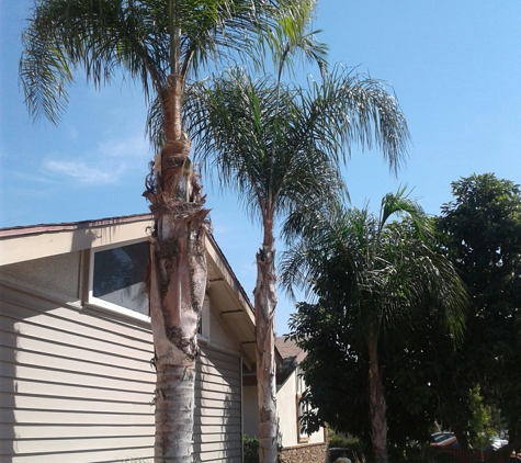 J.E.M Tree Service - Rancho Cucamonga, CA