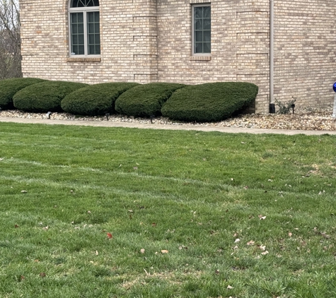 Cs Lawn Care - Decatur, IL