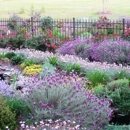Pinecone Home & Garden Center - Garden Centers
