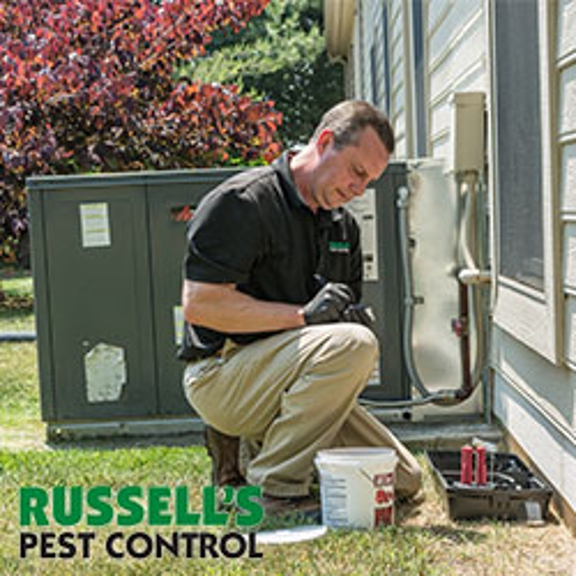 Russell's Pest Control - Knoxville, TN