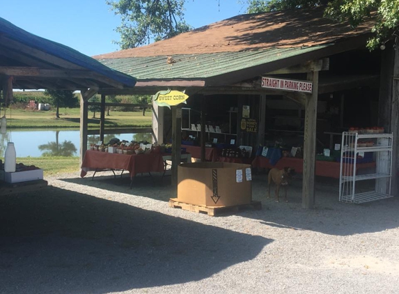 Gasper's Garden - Salem, OH. Home Grown Fruits and Veggies