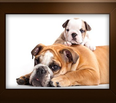 Lehi Animal Hospital - Lehi, UT