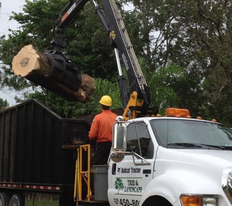 Bobcat Tractor Tree & Landscape Co - Naples, FL