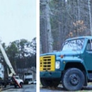 OJ Tree Service - Arborists