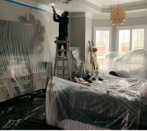 Tulip Cleaning Services - Fort Lauderdale, FL. Mold remediation
