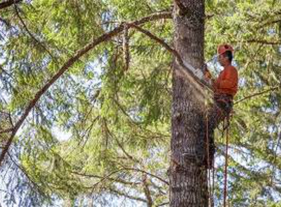 Love it Landscaping and Tree Co. - Mt Juliet, TN