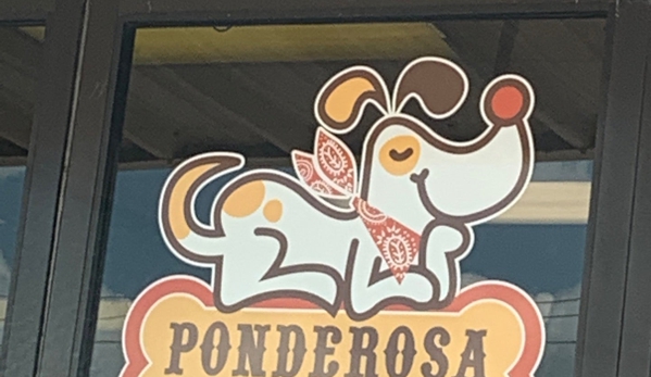 Ponderosa Pet Resort - Georgetown, TX