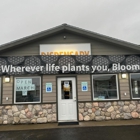 Bloom Weed Dispensary Columbia Falls