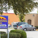 Algiers Animal Clinic - Pet Services